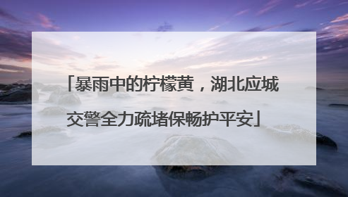 暴雨中的柠檬黄，湖北应城交警全力疏堵保畅护平安