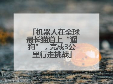 机器人在全球最长猫道上“遛狗”，完成3公里行走挑战