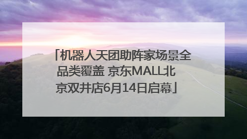 机器人天团助阵家场景全品类覆盖 京东MALL北京双井店6月14日启幕