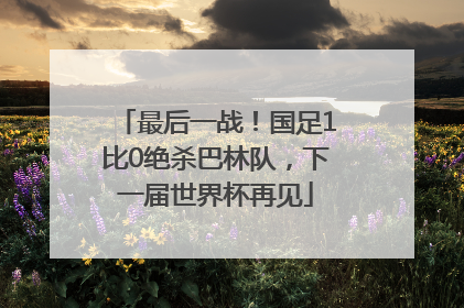 最后一战！国足1比0绝杀巴林队，下一届世界杯再见