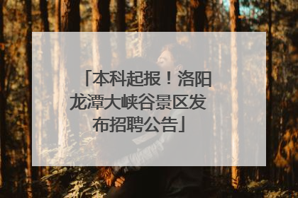 本科起报！洛阳龙潭大峡谷景区发布招聘公告