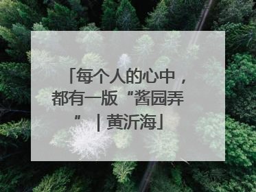 每个人的心中，都有一版“酱园弄”｜黄沂海