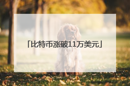 比特币涨破11万美元