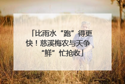 比雨水“跑”得更快！慈溪梅农与天争“鲜”忙抢收