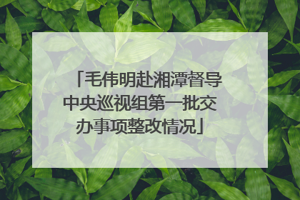 毛伟明赴湘潭督导中央巡视组第一批交办事项整改情况