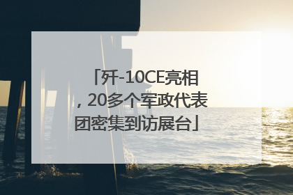 歼-10CE亮相，20多个军政代表团密集到访展台