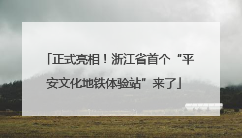 正式亮相！浙江省首个“平安文化地铁体验站”来了