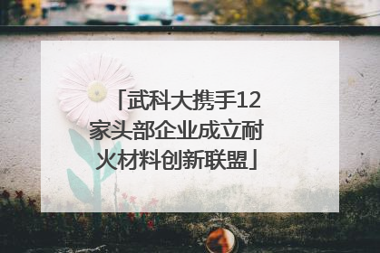武科大携手12家头部企业成立耐火材料创新联盟