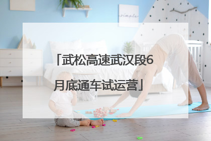 武松高速武汉段6月底通车试运营