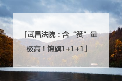 武昌法院：含“赞”量极高！锦旗1+1+1