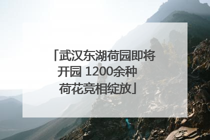 武汉东湖荷园即将开园 1200余种荷花竞相绽放