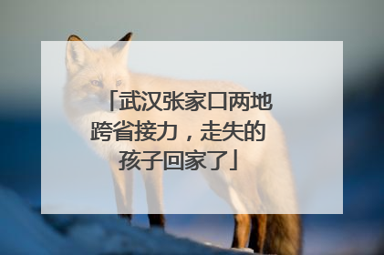 武汉张家口两地跨省接力，走失的孩子回家了