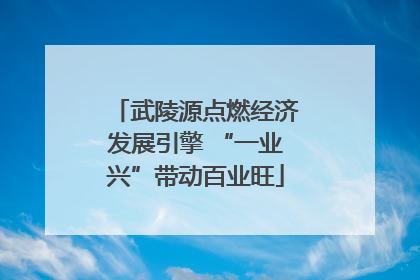 武陵源点燃经济发展引擎 “一业兴”带动百业旺