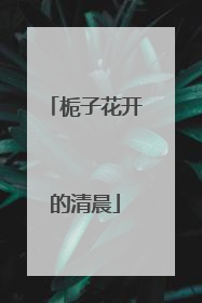 栀子花开的清晨