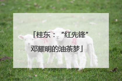 桂东：“红先锋”邓耀明的油茶梦
