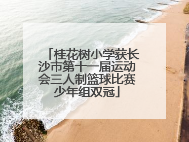 桂花树小学获长沙市第十一届运动会三人制篮球比赛少年组双冠