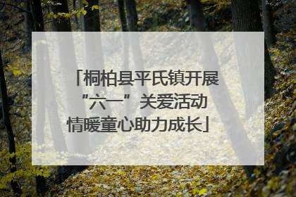 桐柏县平氏镇开展“六一”关爱活动 情暖童心助力成长