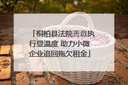 桐柏县法院善意执行显温度 助力小微企业追回拖欠租金