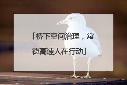 桥下空间治理，常德高速人在行动