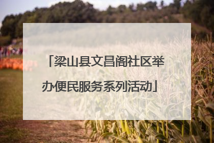 梁山县文昌阁社区举办便民服务系列活动