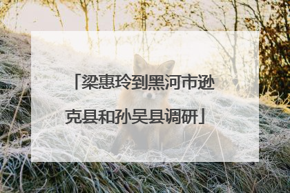 梁惠玲到黑河市逊克县和孙吴县调研
