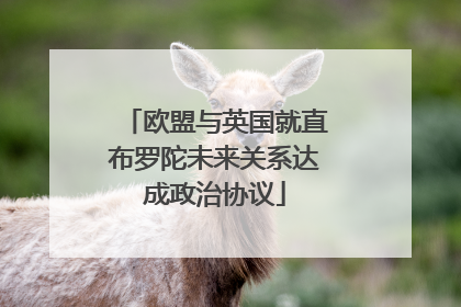欧盟与英国就直布罗陀未来关系达成政治协议