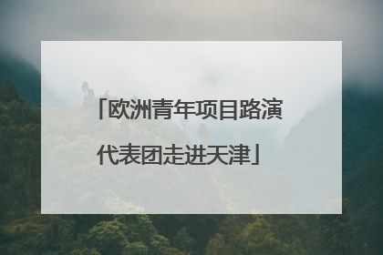 欧洲青年项目路演代表团走进天津