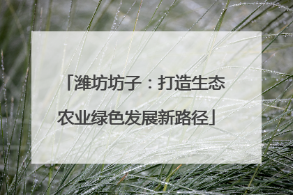 潍坊坊子：打造生态农业绿色发展新路径