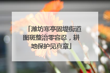 潍坊寒亭固堤街道图斑整治零容忍，耕地保护见真章