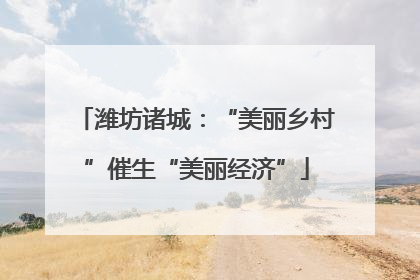 潍坊诸城：“美丽乡村”催生“美丽经济”
