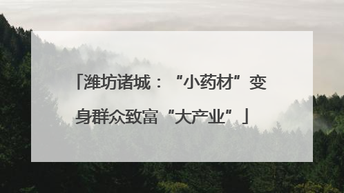 潍坊诸城：“小药材”变身群众致富“大产业”