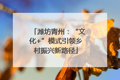 潍坊青州：“文化+”模式引领乡村振兴新路径