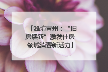 潍坊青州：“旧房焕新”激发住房领域消费新活力