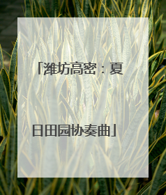 潍坊高密：夏日田园协奏曲