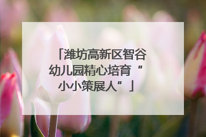 潍坊高新区智谷幼儿园精心培育“小小策展人”