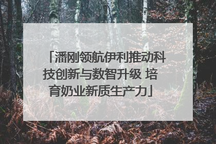 潘刚领航伊利推动科技创新与数智升级 培育奶业新质生产力