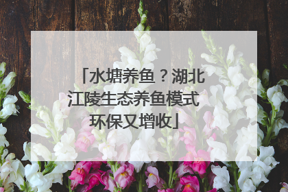 水塘养鱼？湖北江陵生态养鱼模式环保又增收