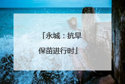 永城：抗旱保苗进行时