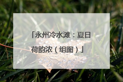 永州冷水滩：夏日荷韵浓（组图）
