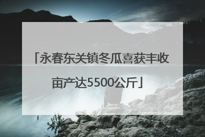 永春东关镇冬瓜喜获丰收 亩产达5500公斤