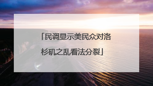民调显示美民众对洛杉矶之乱看法分裂
