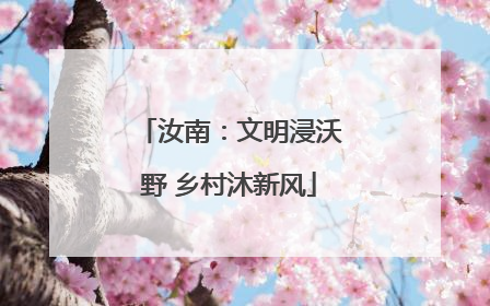 汝南：文明浸沃野 乡村沐新风
