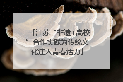 江苏“非遗+高校”合作实践为传统文化注入青春活力