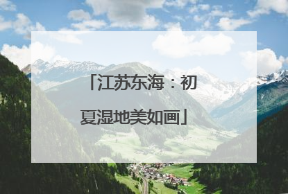 江苏东海：初夏湿地美如画