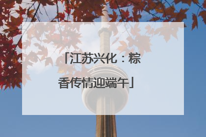 江苏兴化：粽香传情迎端午