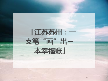 江苏苏州：一支笔“画”出三本幸福账