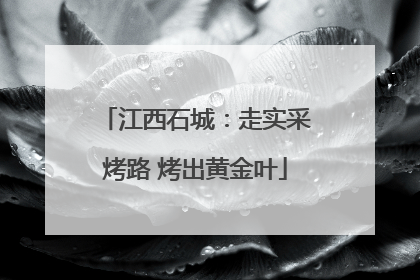江西石城：走实采烤路 烤出黄金叶