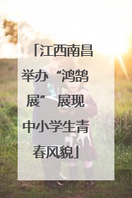 江西南昌举办“鸿鹄展” 展现中小学生青春风貌