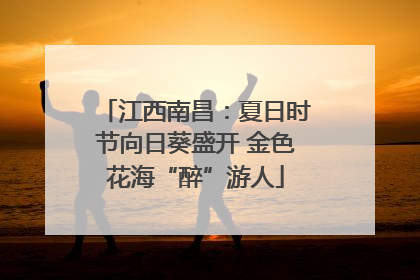江西南昌：夏日时节向日葵盛开 金色花海“醉”游人