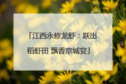 江西永修龙虾：跃出稻虾田 飘香京城宴